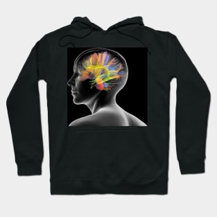 White matter fibres of the human brain (C020/9895) Hoodie